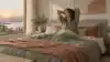 Best Grounding Bed Sheets of 2026